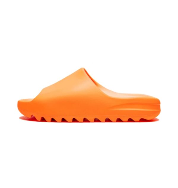 Slides