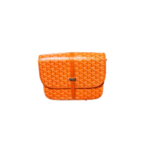 Goyard Bag