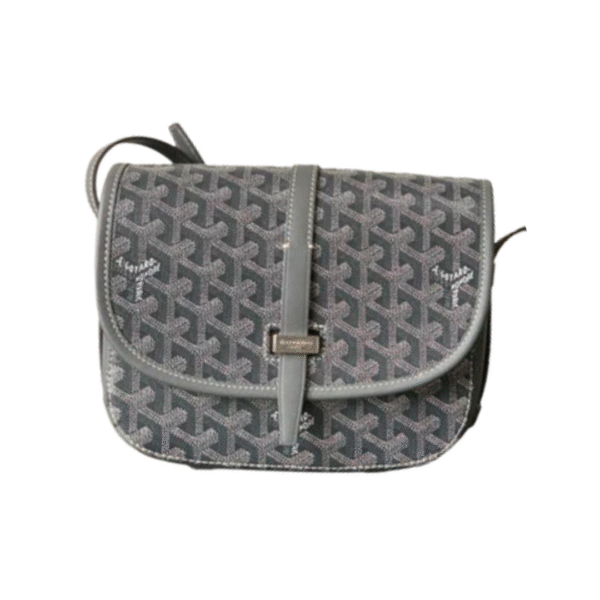 Goyard Bag